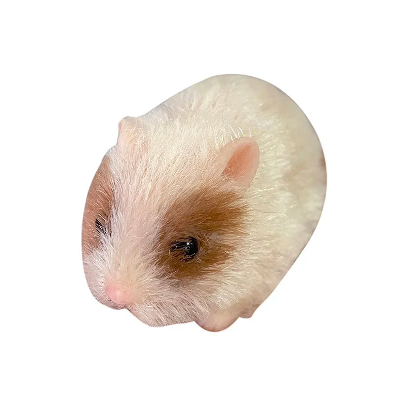 Hamster Silicone Sólido